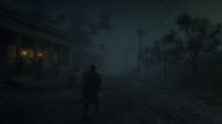 RDR2 2021-01-25 03-41-23.jpg