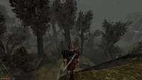 Gothic 1 Screenshot 2021.01.29 - 23.48.12.07.png