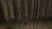 Gothic 1 Screenshot 2021.02.01 - 12.40.28.83.jpg