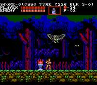 Castlevania III - Draculas Curse (U) [!]-16.png