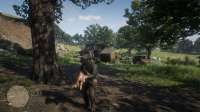 RDR2 4367.png