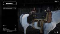 RDR2 4387.png