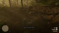 RDR2 4432.png
