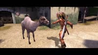 19.mp4
