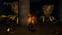 Dark Souls Remastered Screenshot 2021.02.08 - 13.09.56.23.jpg