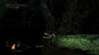 Dark Souls Remastered Screenshot 2021.02.08 - 13.16.18.62.jpg