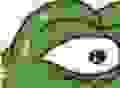 Untitled.jpg