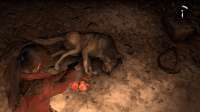 Rise of the Tomb Raider Screenshot 2021.02.14 - 10.25.35.08.jpg