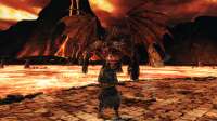 Dark Souls II Screenshot 2021.02.21 - 11.20.51.12.jpg
