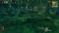 Valheim Screenshot 2021.02.20 - 19.15.28.78.png