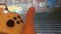 16146750001450.mp4