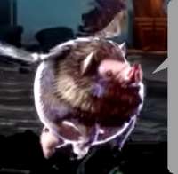 svinn.jpg