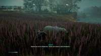 Assassins Creed Valhalla Screenshot 2021.04.28 - 22.19.47.52.png