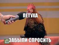 tv-petuh93534936orig.jpg