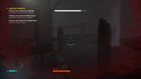 flamingo.mp4