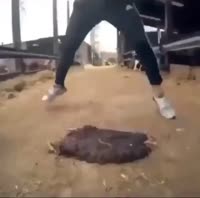 1635701880167.webm