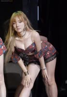 UnfoldedLiquidAbyssiniancat.webm