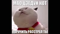МАО КОТ.mp4
