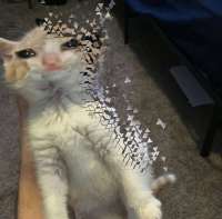 1563637150783.jpg