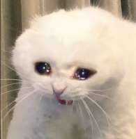 1560937699733.jpg