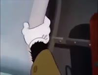 duck.mp4