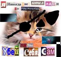 152396680148835.jpg
