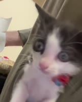 video2023-05-1919-09-06.mp4