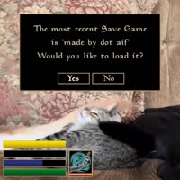 video2023-05-1214-17-46.mp4