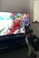 VID20211024080001355.mp4