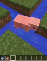 VID20230525202029222.mp4