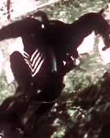 Без названия.mp4