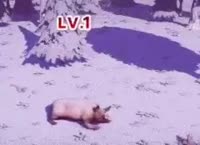 v16698059996252.webm