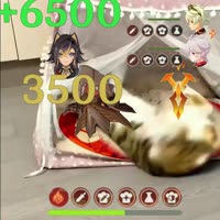 Dehya vs Bubonya (1).mp4