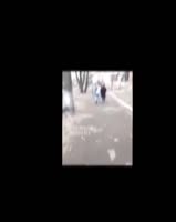 это не шарик.mp4