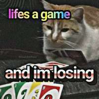 169190624936644253.jpg
