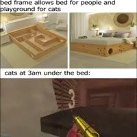 playground for cats.mp4