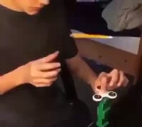 f214985132967882.webm