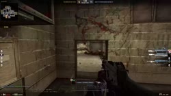 донатшоп.webm