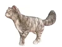 q914052801536723.webm