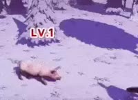 v16698059996252.webm