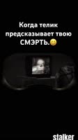 STALKER смерть на кордоне. #сталкер #chernobyl #сталкермоды #stalker2 #games #чернобыль.mp4