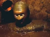15215533550800.webm