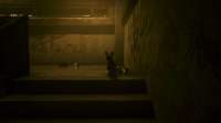 photomode12112023210541.png