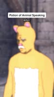 Potion of Animal Speaking.mp4