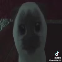 Markiplier Fiber Optic Cable Core Compilation.mp4