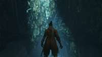 sekiro 2024-06-16 21-29-45-77.jpg