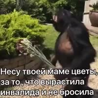 несу-цветы-твоей-маме.mp4