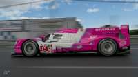 Heures du Mans (24 часа)sm (3).jpeg