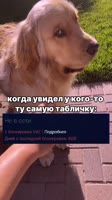 @ru2chvg.mp4