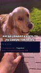 @ru2chvg.mp4